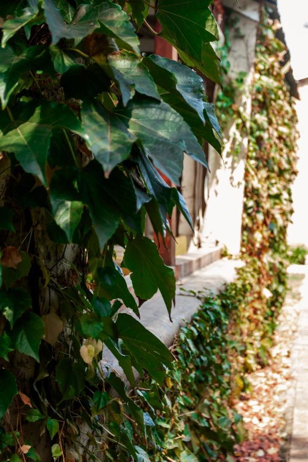 Town And Country Mpumalanga Hotel Middelburg  Ngoại thất bức ảnh